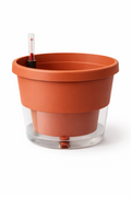 Self Watering Pot 10 inch