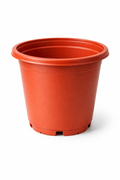 Set of 4 (6 inch pots)