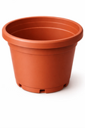Set of 6 (6 inch pots)