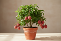 Litchi