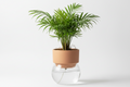 Self Watering Pot