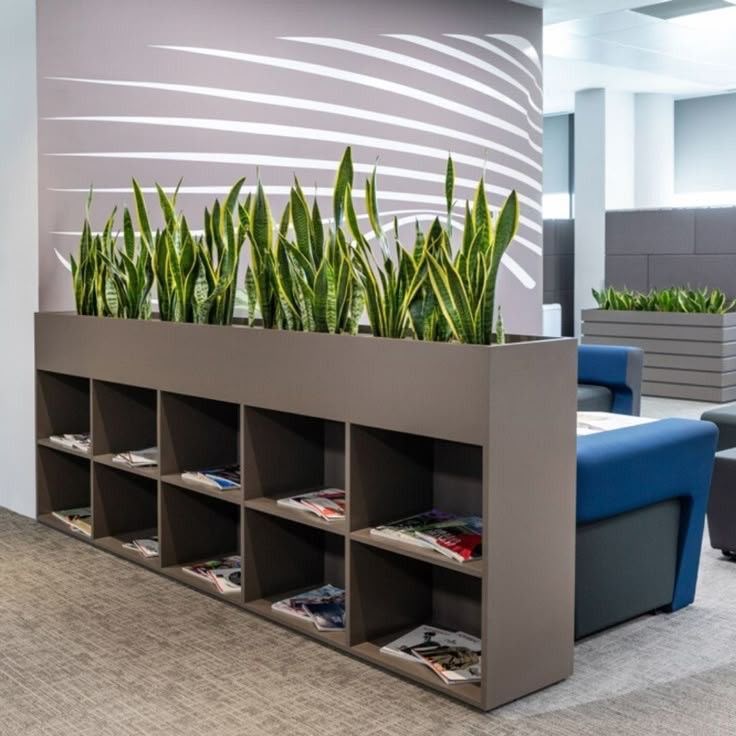 GharKaMali green makeover of an office workspace with indoor plants